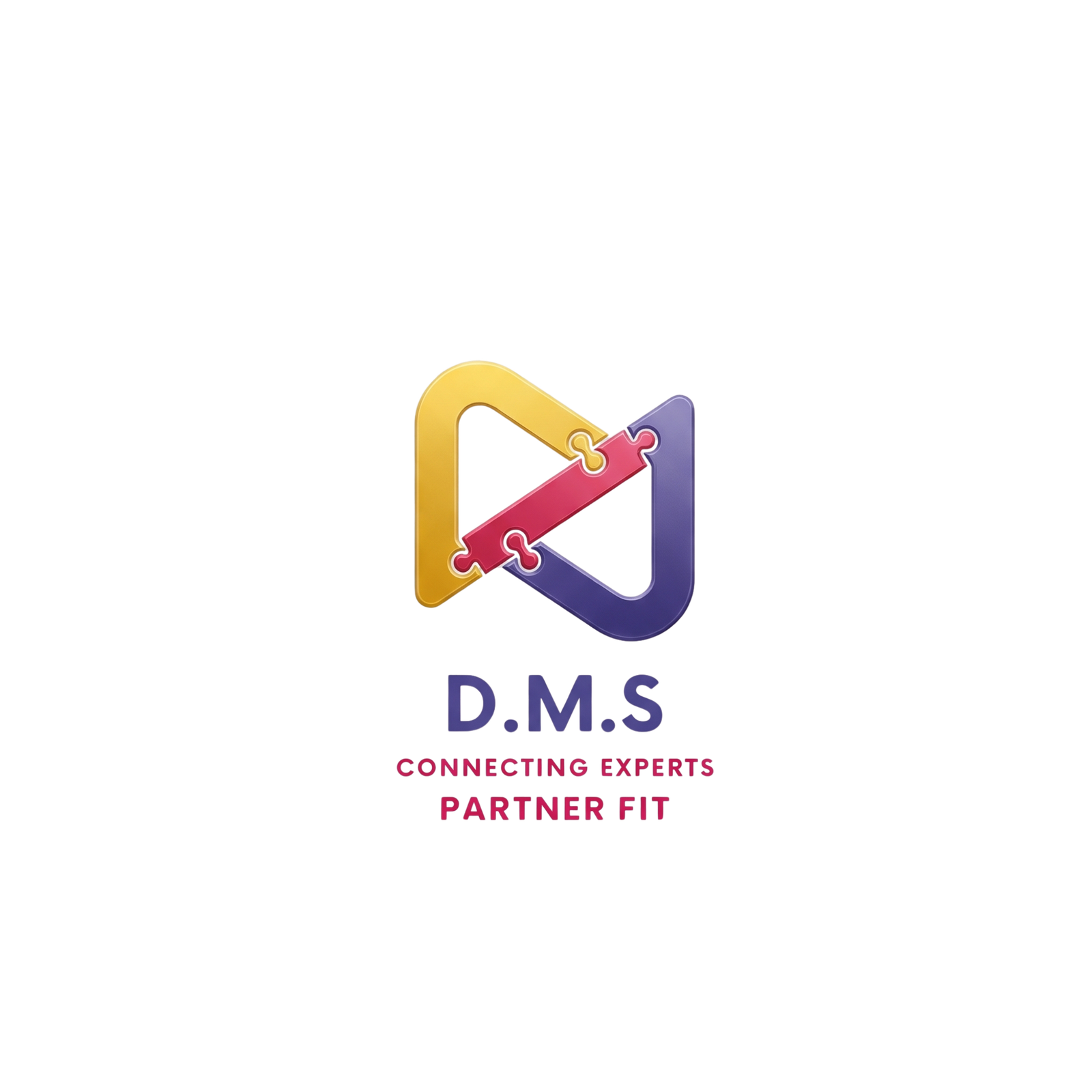 DMS Partner Fit